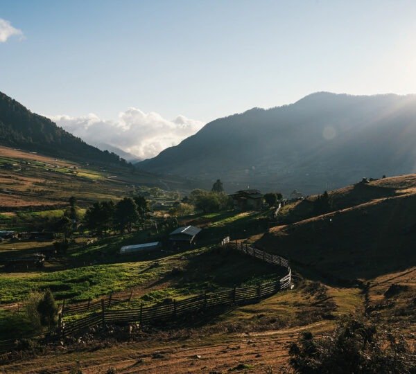 Phobjika by Matt Dutile16