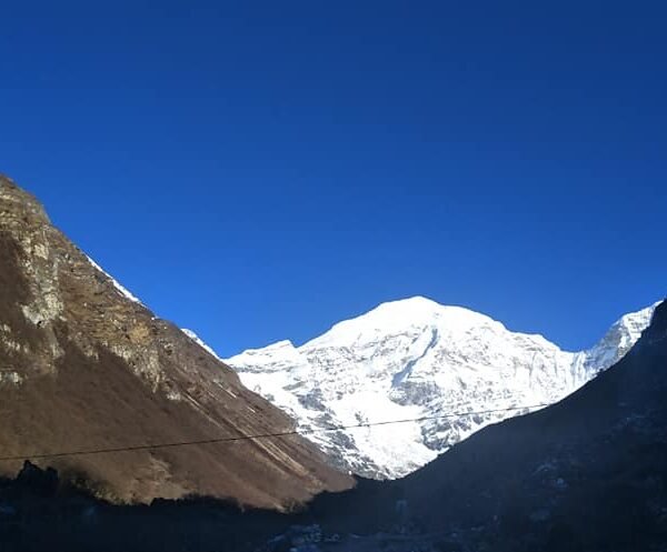 91511134_3166373430254438_7055273396237500416_n