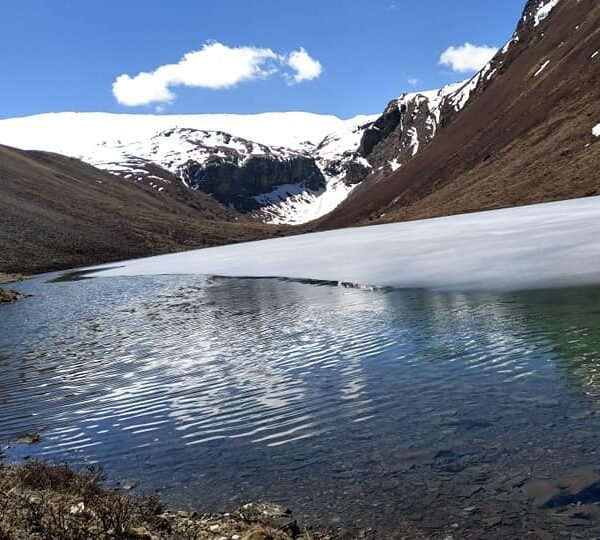 91898136_3166373353587779_2220874713419218944_n