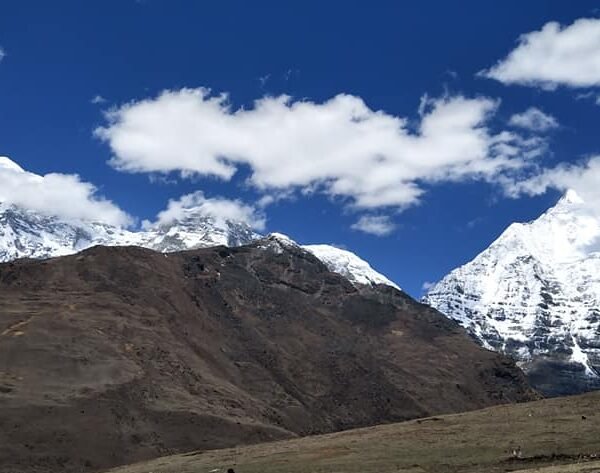 92100084_3166373303587784_6889895684799987712_n