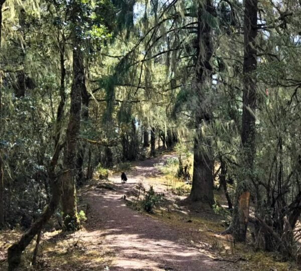 Bumdra-Trek-Trails-1024x768