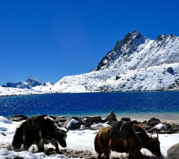 bhutan-snowman-trek29